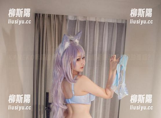 KANEKO咔喵的死库水合集，谁能拒绝这样会议的诱惑？